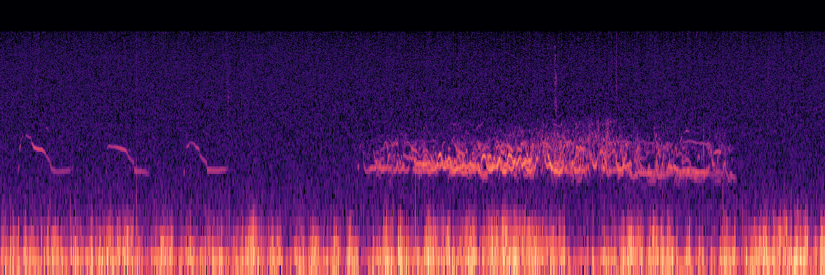 Spectrogram: Wolves Howling - Solo Voice Then Group Chorus